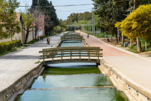 Canal Park 300X200